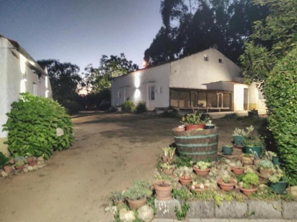 Quinta Da Mesa Villa Macinhata do Vouga Eksteriør bilde