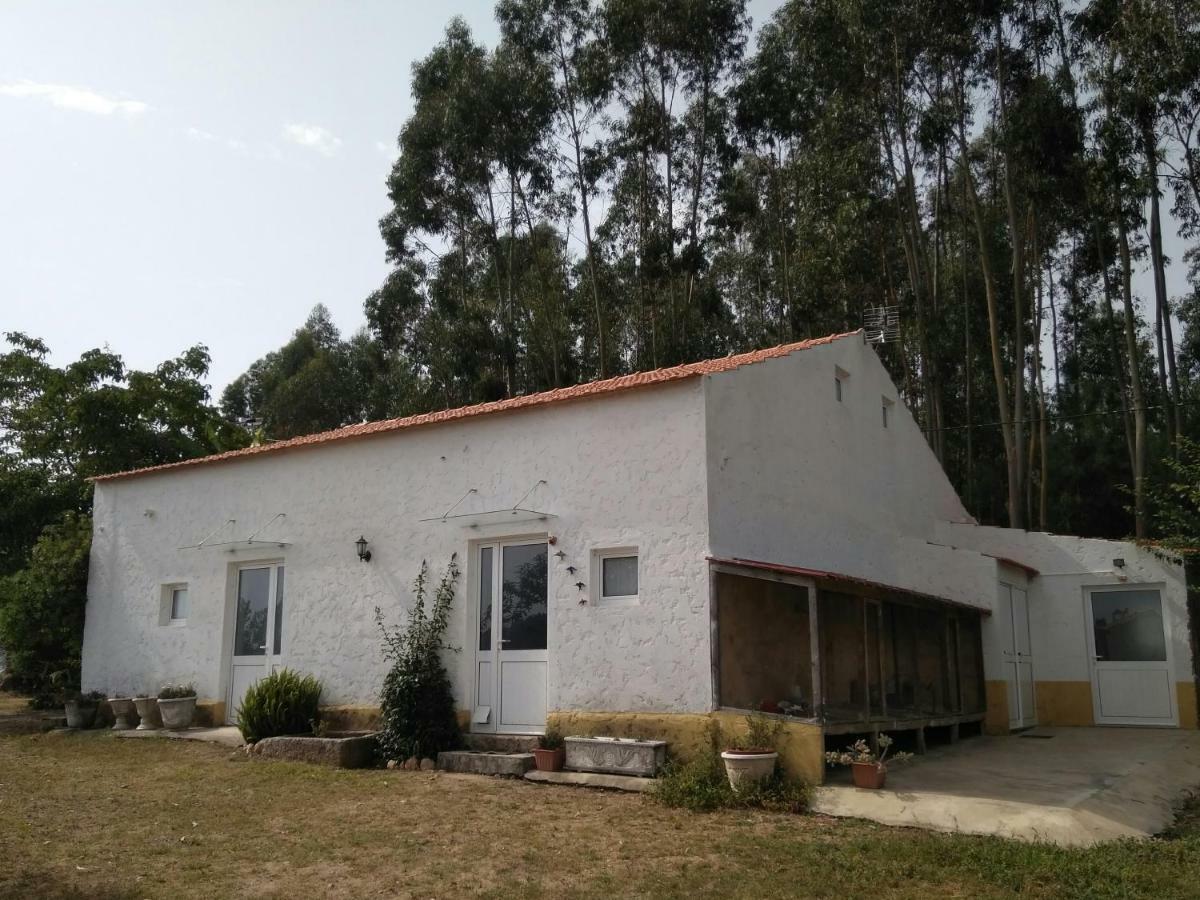 Quinta Da Mesa Villa Macinhata do Vouga Eksteriør bilde
